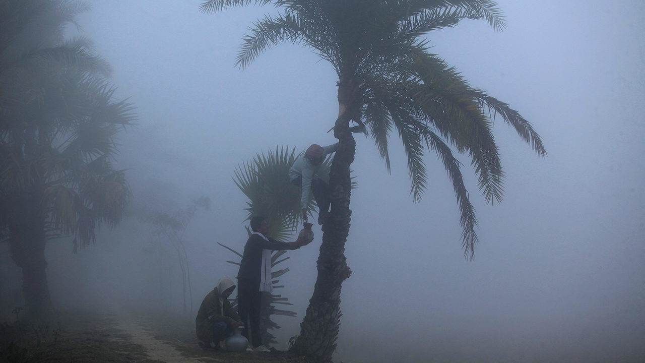 সাত সকালে রস সংগ্রহ করে নিয়ে আসেন গাছি।